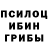 Галлюциногенные грибы GOLDEN TEACHER Step Ceb