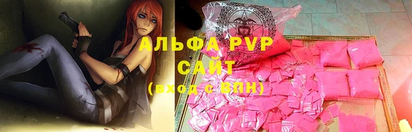 сатива Аркадак