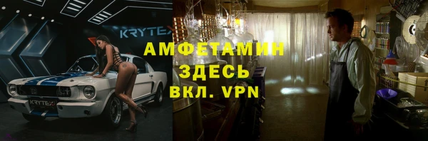 сатива Аркадак