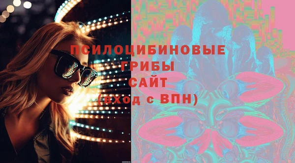 сатива Аркадак