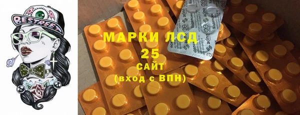 сатива Аркадак