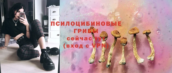 сатива Аркадак