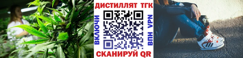 OMG ТОР  Барыш  ТГК концентрат 