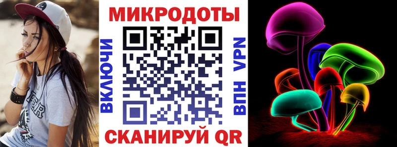 Галлюциногенные грибы Psilocybe  купить наркотик  Барыш 